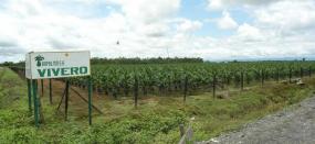 Curvarado, Choco, Colombie. 