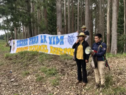 «La terre pour la vie, Smurfit criminel environnemental» – Mission de vérification des droits humains dans la municipalité de Cajibío, le 6 juin 2025
