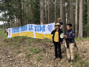 «La terre pour la vie, Smurfit criminel environnemental» – Mission de vérification des droits humains dans la municipalité de Cajibío, le 6 juin 2025 «La terre pour la vie, Smurfit criminel environnemental» – Mission de vérification des droits humains dans la municipalité de Cajibío, le 6 juin 2025